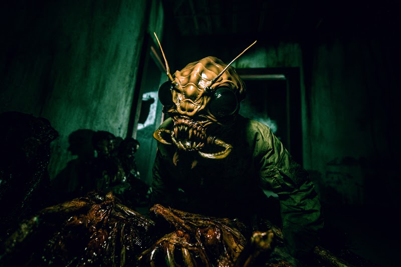 Nightmare Cleveland Haunted House Cleveland interior