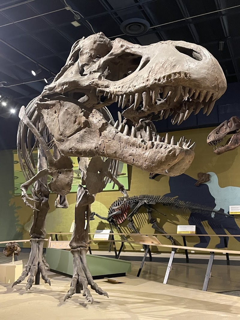 Cleveland Museum of Natural History in Cleveland