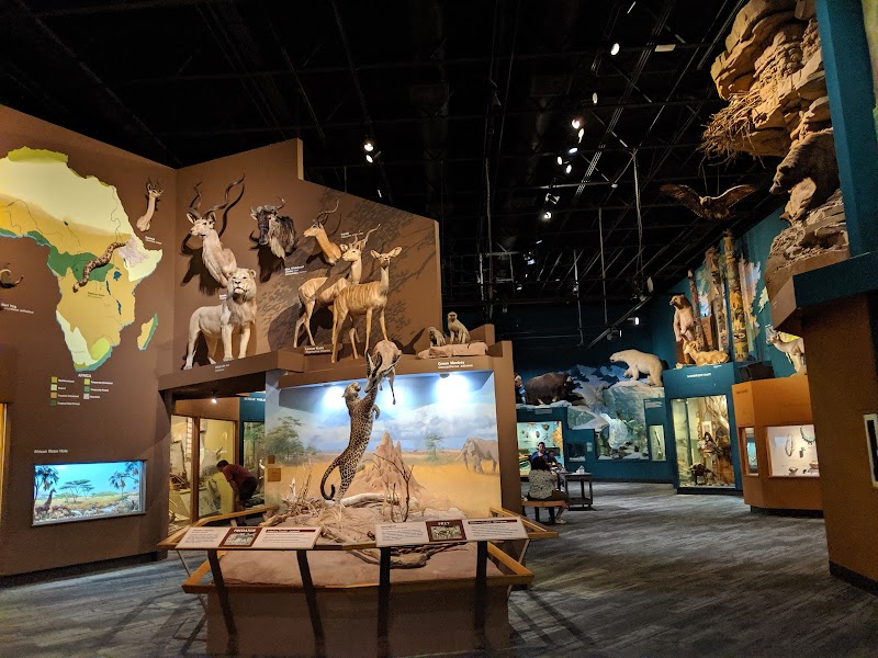 Cleveland Museum of Natural History Cleveland interior