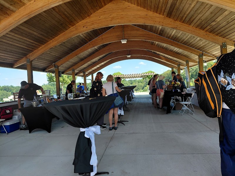 Vintage Ohio Wine Festival Cleveland stage