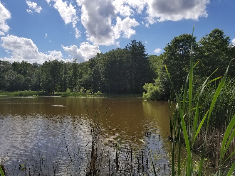 Mill Stream Run Reservation Cleveland stage