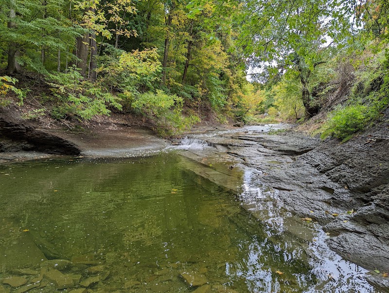 Euclid Creek Reservation Cleveland interior