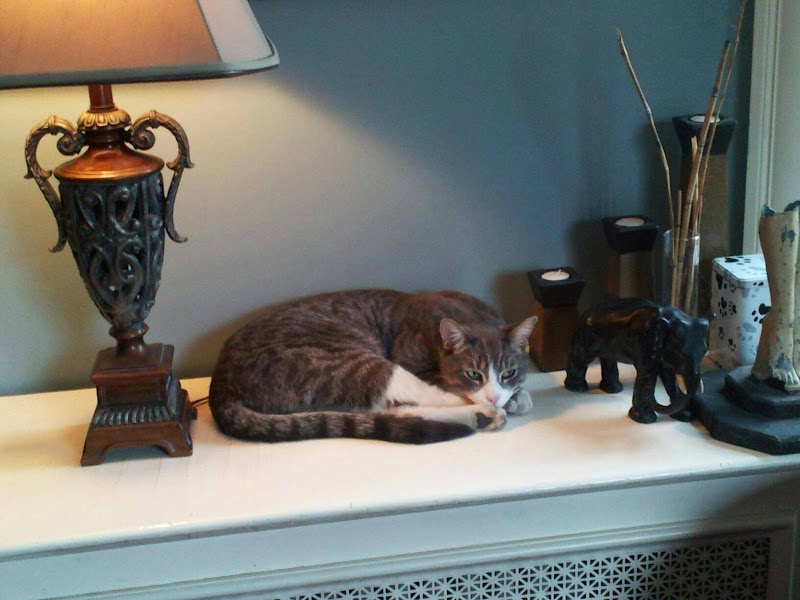 Clifford House Bed & Breakfast Cleveland amenities