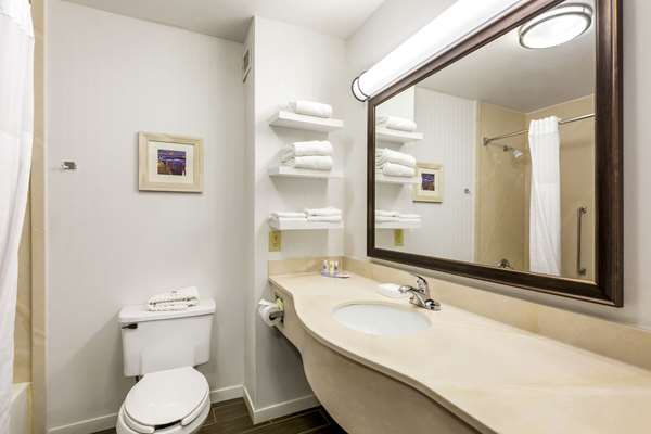 Comfort Inn, Cleveland South - Richfield Cleveland amenities