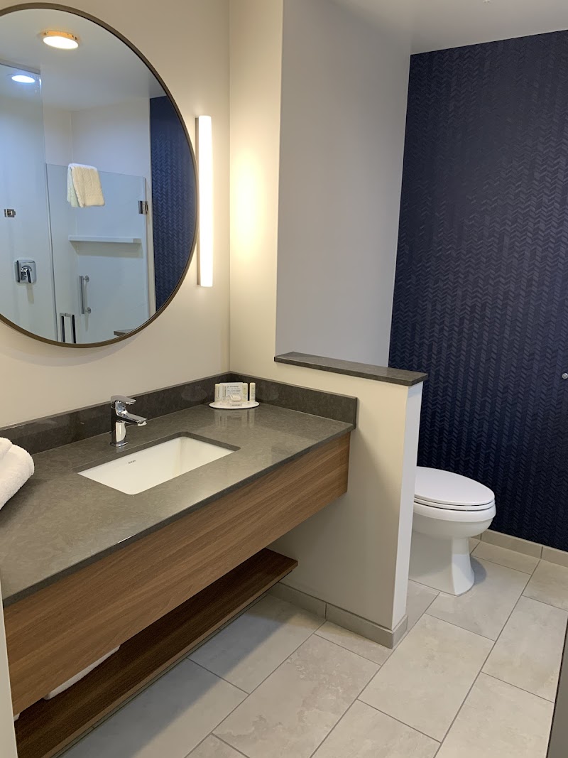 Fairfield by Marriott Inn & Suites Cleveland Tiedeman Road Cleveland amenities