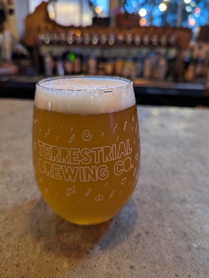 Terrestrial Brewing Company Cleveland atmosphere