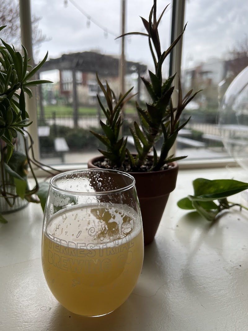 Terrestrial Brewing Company Cleveland atmosphere
