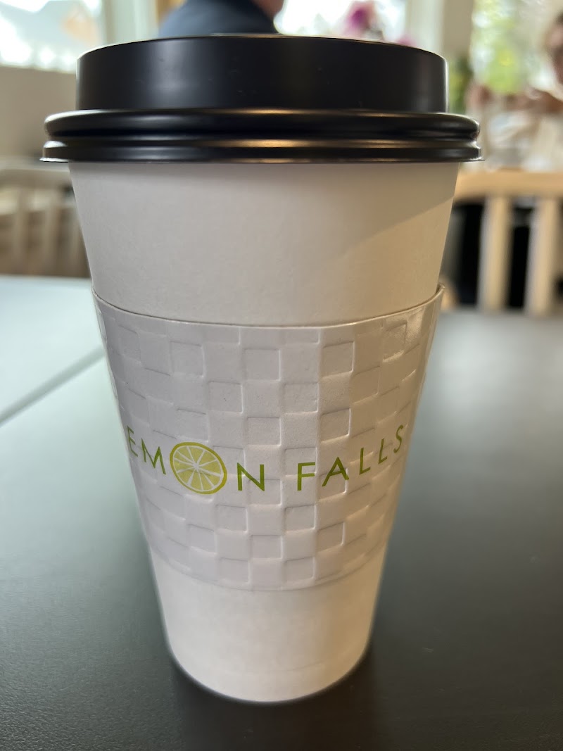 Lemon Falls Cafe/Marketplace Cleveland atmosphere