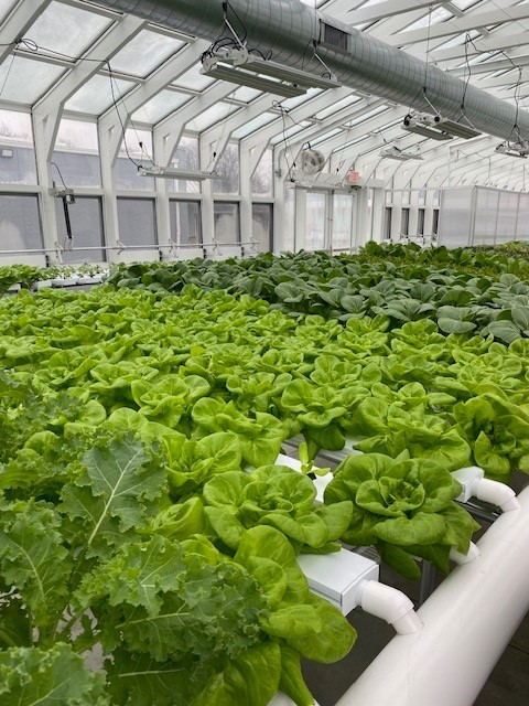 Susanna’s Café by HELP Harvest Cleveland food