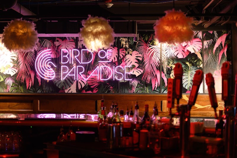 Bird of Paradise under Bright Side Restaurant Cleveland atmosphere