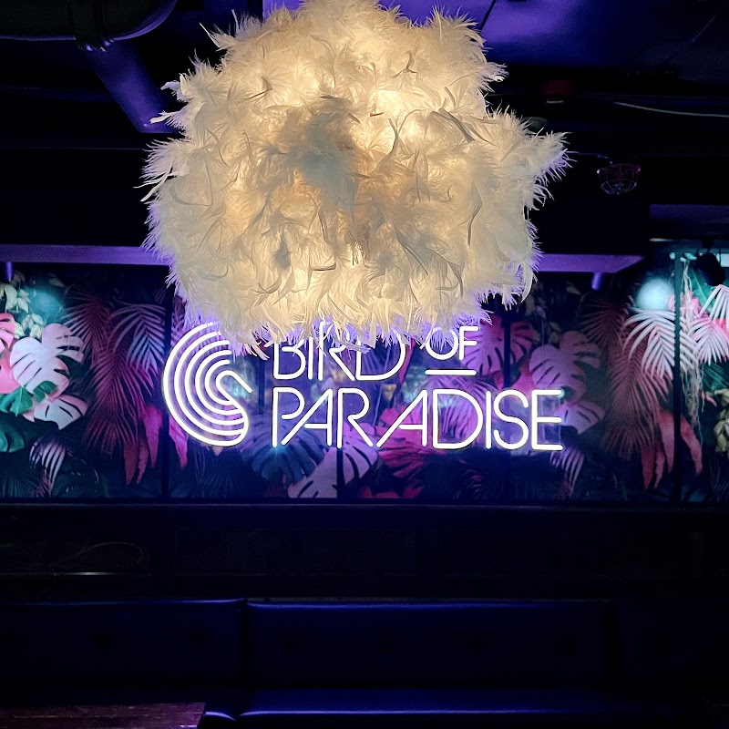 Bird of Paradise under Bright Side Restaurant Cleveland atmosphere