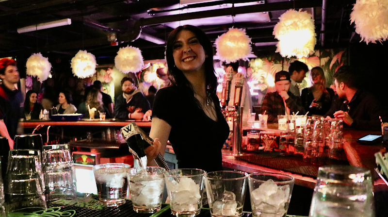 Bird of Paradise under Bright Side Restaurant Cleveland atmosphere