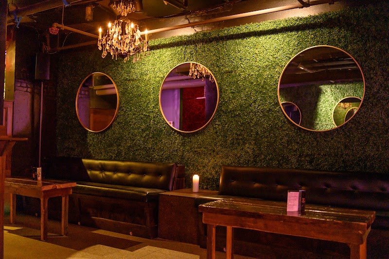 Bird of Paradise under Bright Side Restaurant Cleveland atmosphere