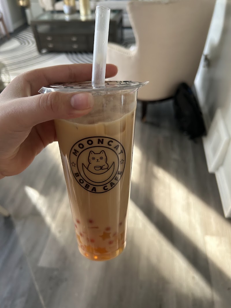 Mooncat Boba Cafe Cleveland atmosphere