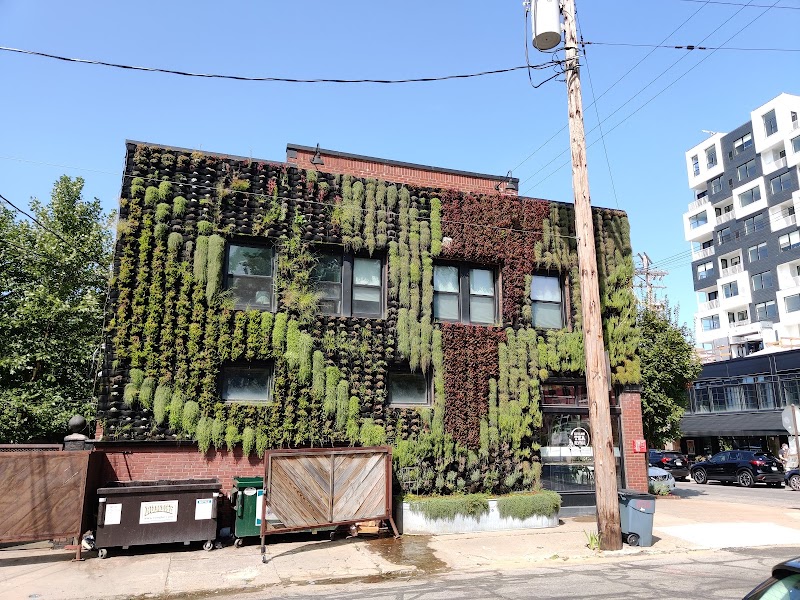 Rising Star Coffee Roasters Cleveland atmosphere