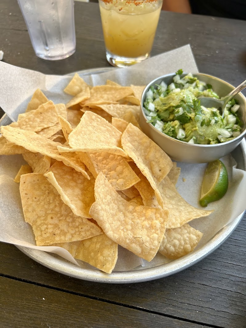 Avo Modern Mexican Cleveland atmosphere