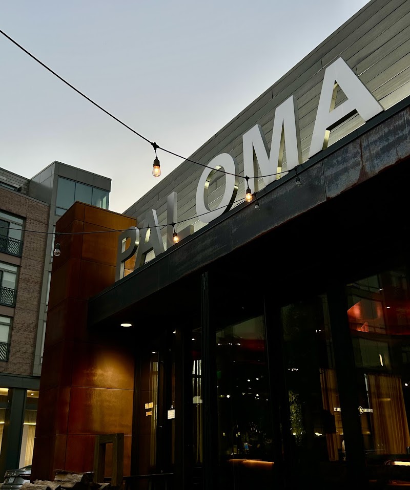 Paloma Cleveland atmosphere