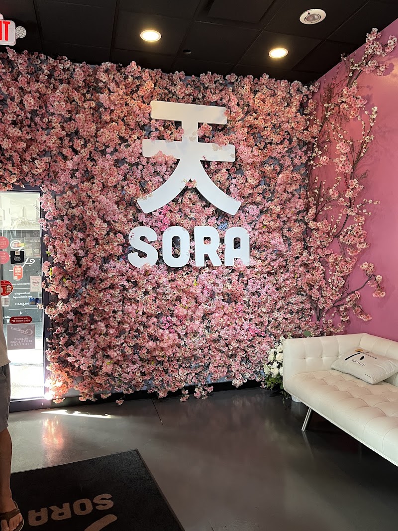 Sora 天 Cleveland atmosphere