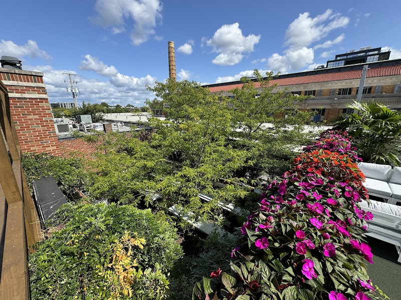 Canopy Rooftop Bar @ Market Garden Brewpub Cleveland food