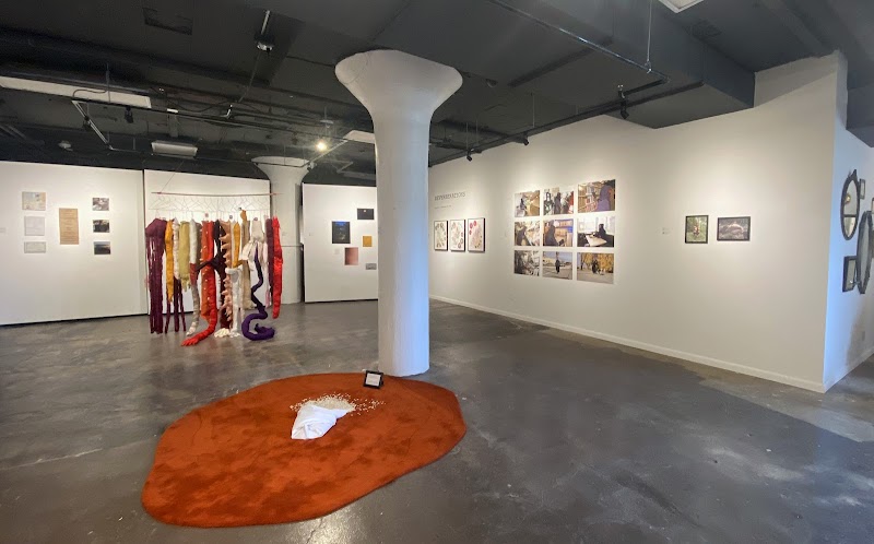 UNDERSTORY Art Cleveland interior