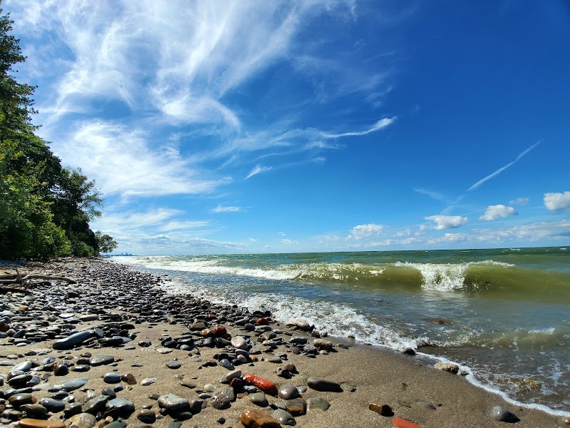 Arcadia Beach Cleveland interior