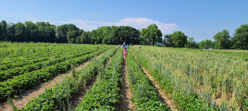 Johnston's Farm