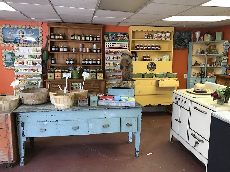 Cavotta Garden Center Cleveland atmosphere
