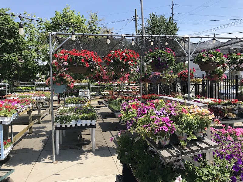 Cavotta Garden Center Cleveland atmosphere
