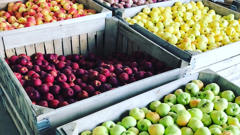 Rittman Orchards in Cleveland