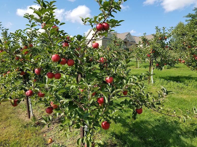 Rittman Orchards Cleveland atmosphere