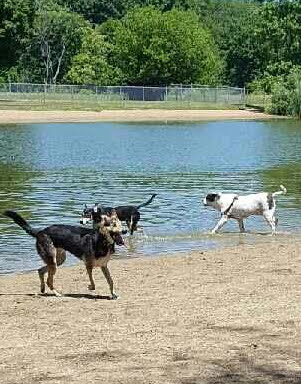 Bow Wow Beach Cleveland atmosphere