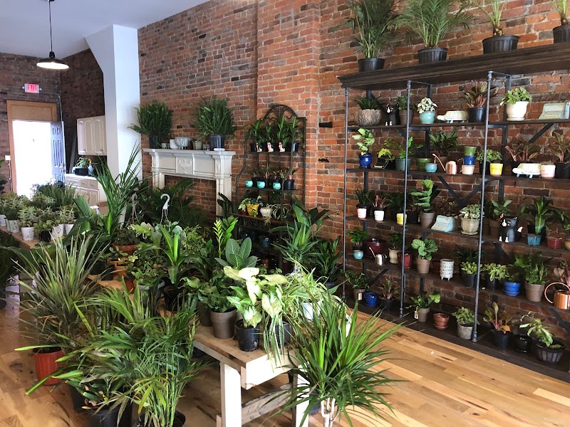 Recreational Pots and Planters Cleveland interior