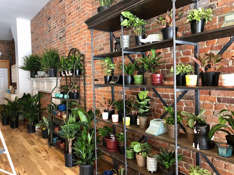 Recreational Pots and Planters Cleveland atmosphere
