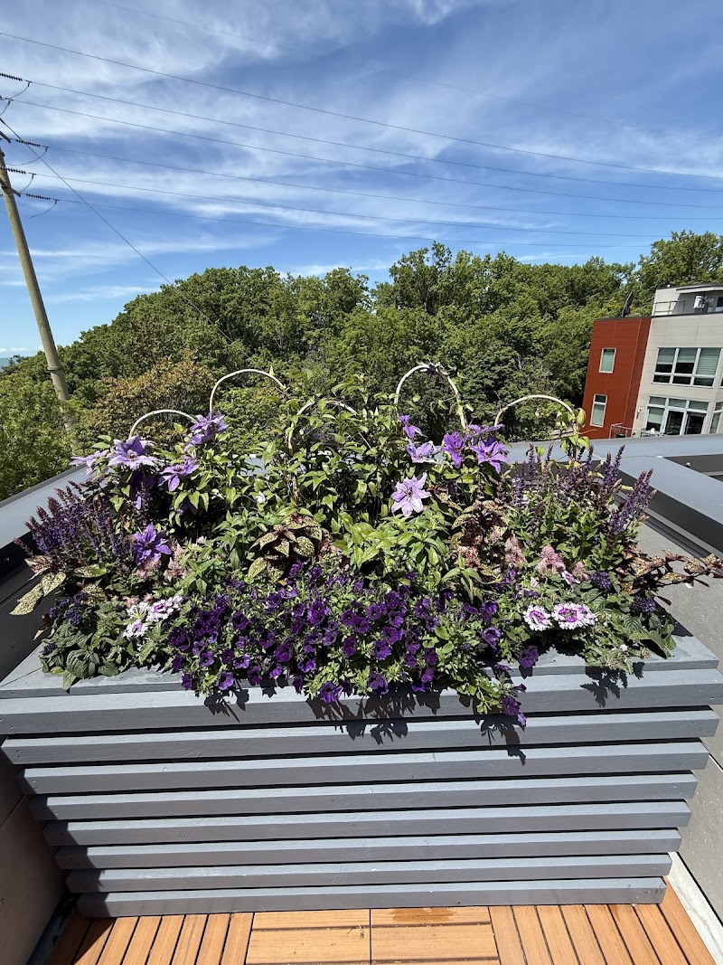 Plantscaping and Blooms Cleveland interior