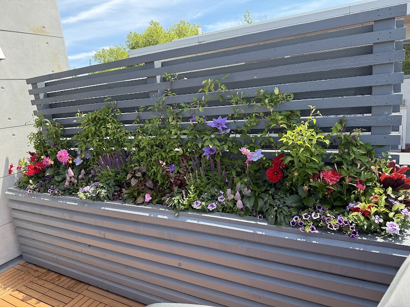 Plantscaping and Blooms Cleveland atmosphere