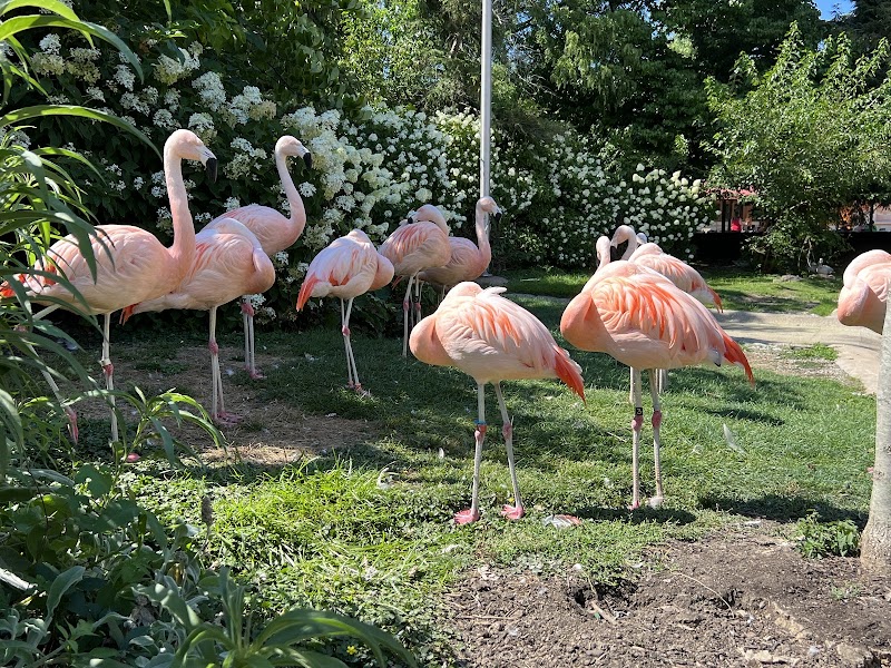 Cleveland Metroparks Zoo Cleveland atmosphere