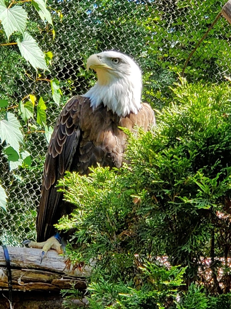 Cleveland Metroparks Zoo Cleveland atmosphere