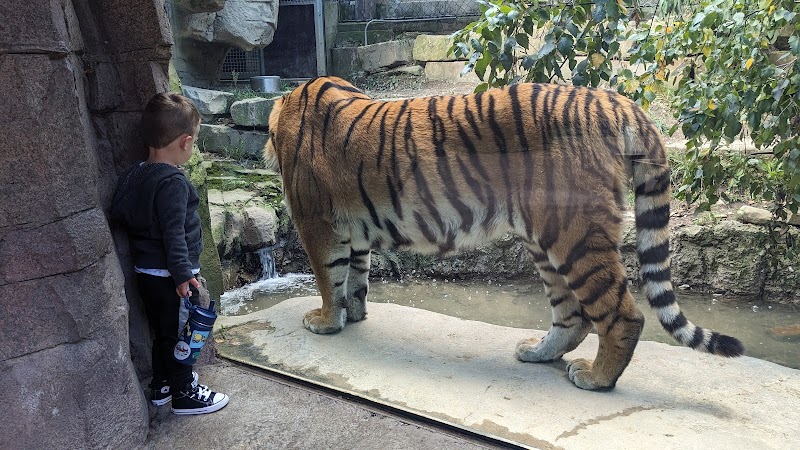 Cleveland Metroparks Zoo Cleveland atmosphere