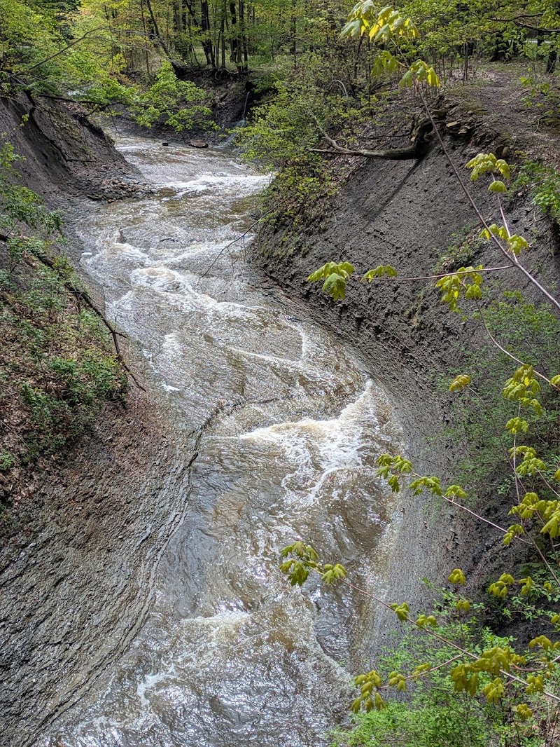 Eastern Ledge Trail Cleveland interior