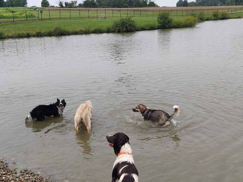 Canine Meadow - Dog Park