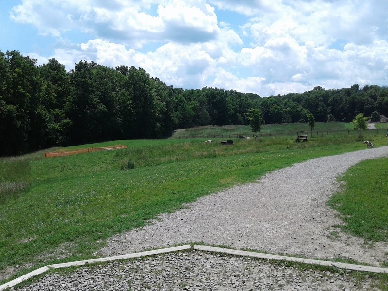 Canine Meadow - Dog Park Cleveland atmosphere
