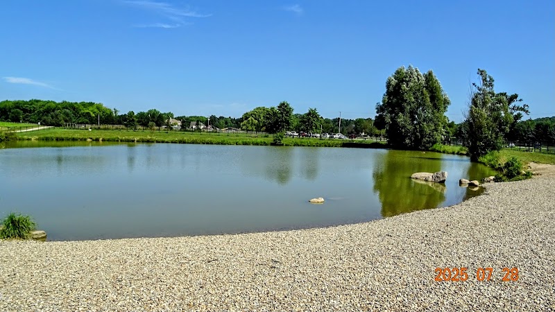 Canine Meadow - Dog Park Cleveland atmosphere