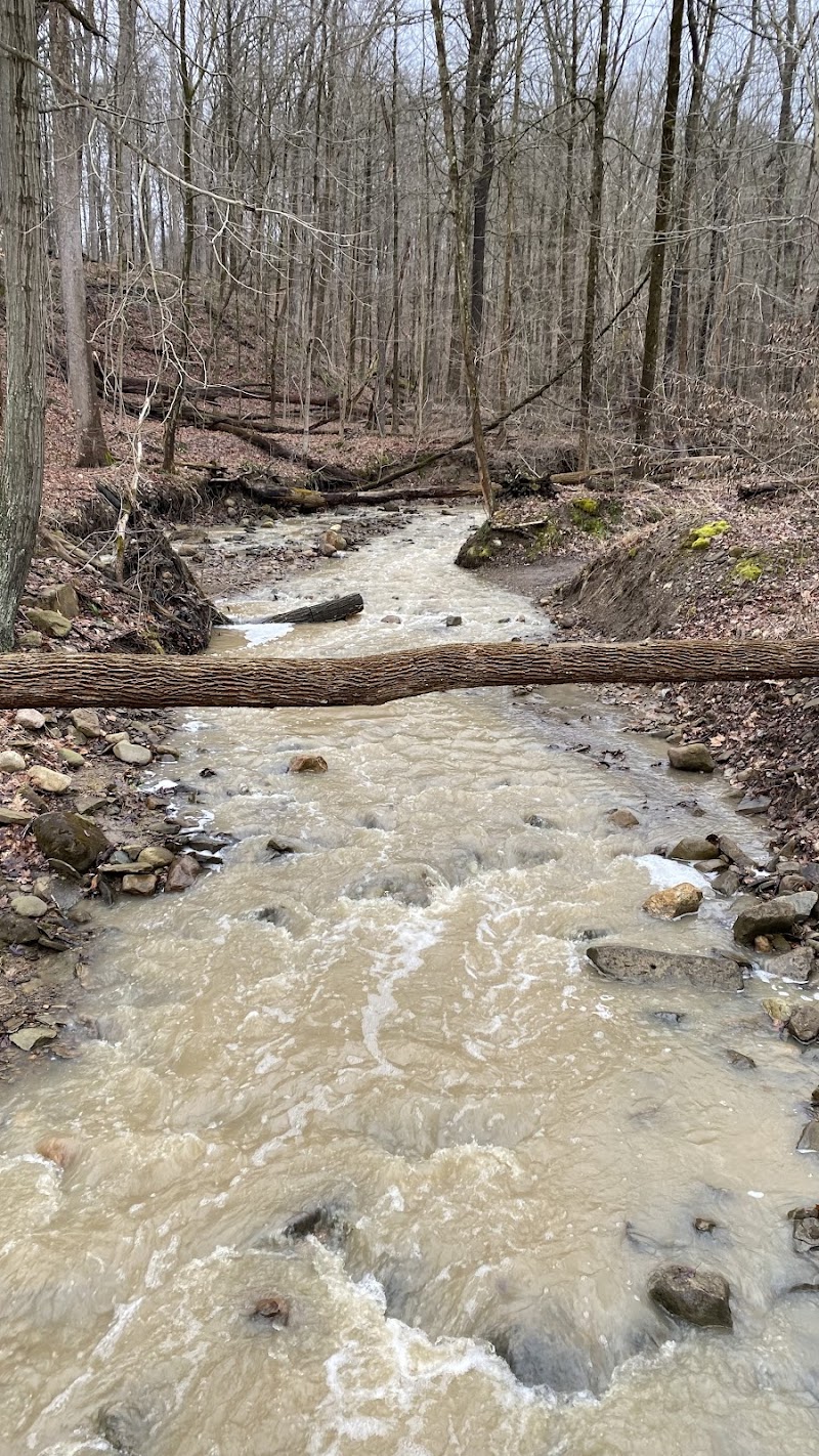 Chippewa Creek Gorge Scenic Overlook Cleveland atmosphere