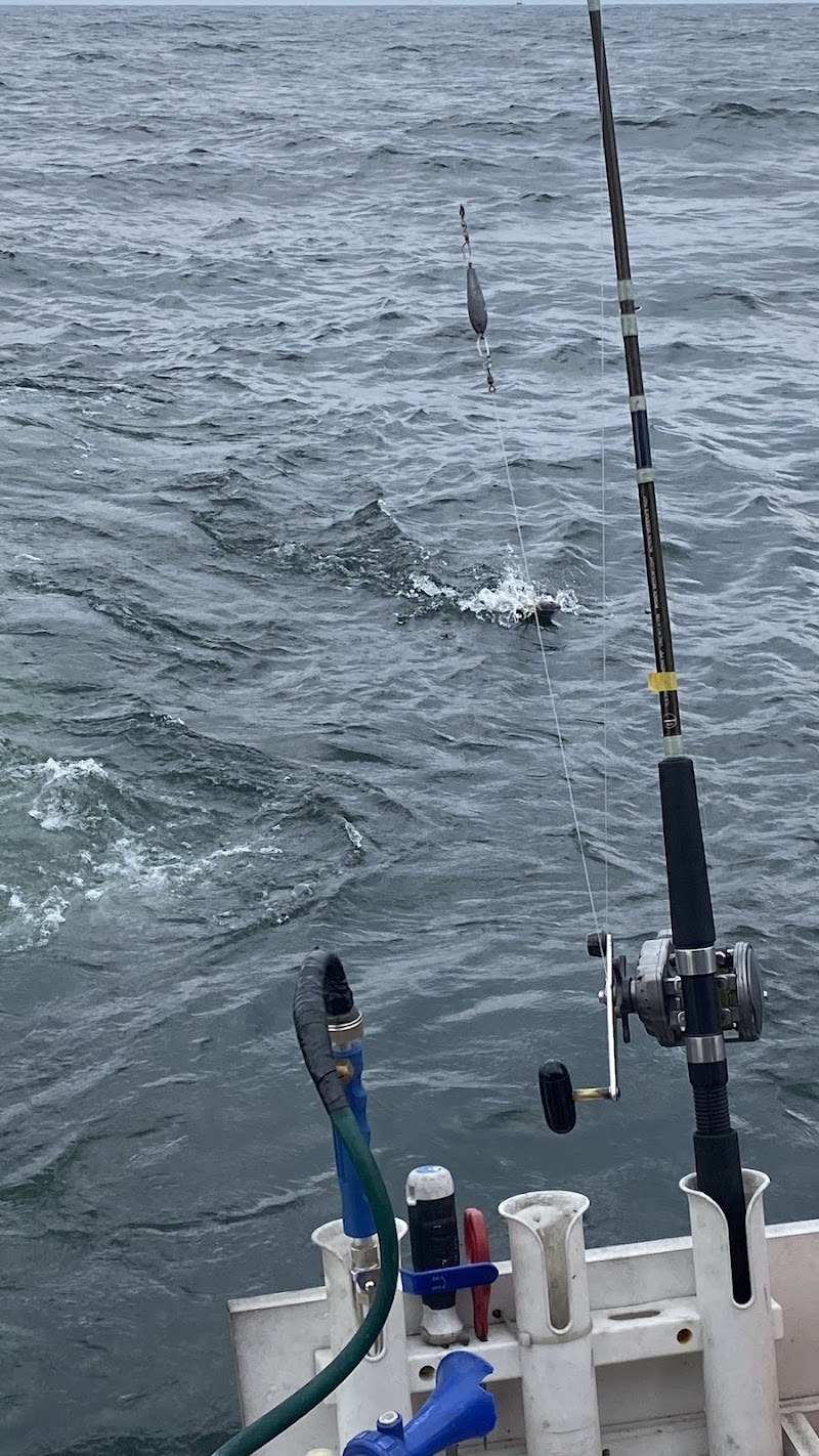 Sara J Fishing Charters Cleveland interior