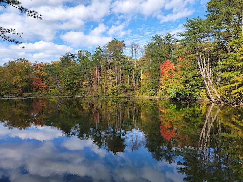 Strawberry Pond