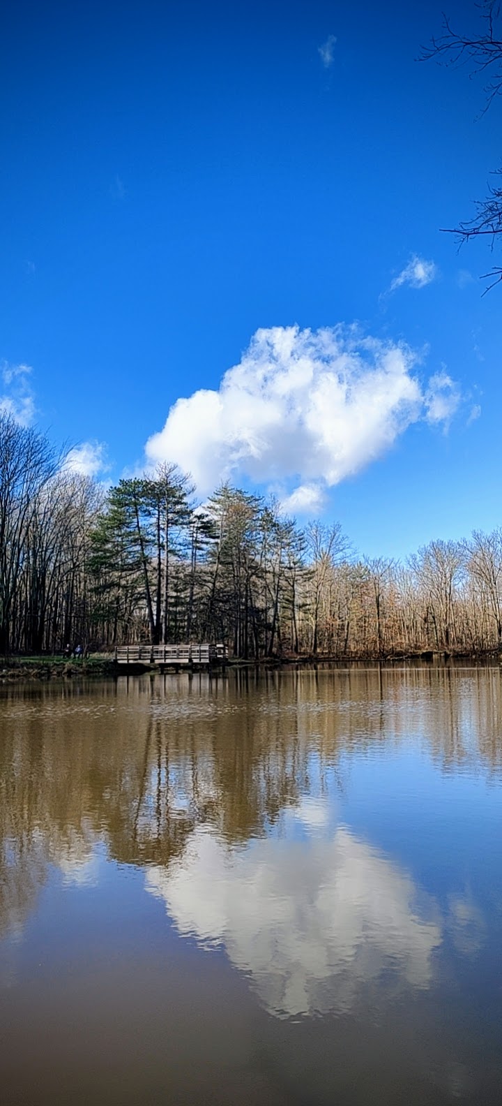 Strawberry Pond Cleveland atmosphere