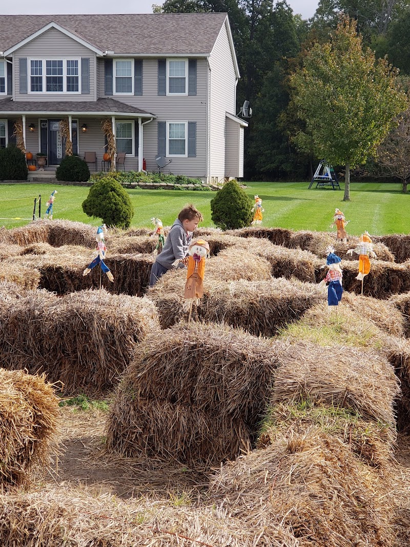 Brasee's Corn Maze in Cleveland