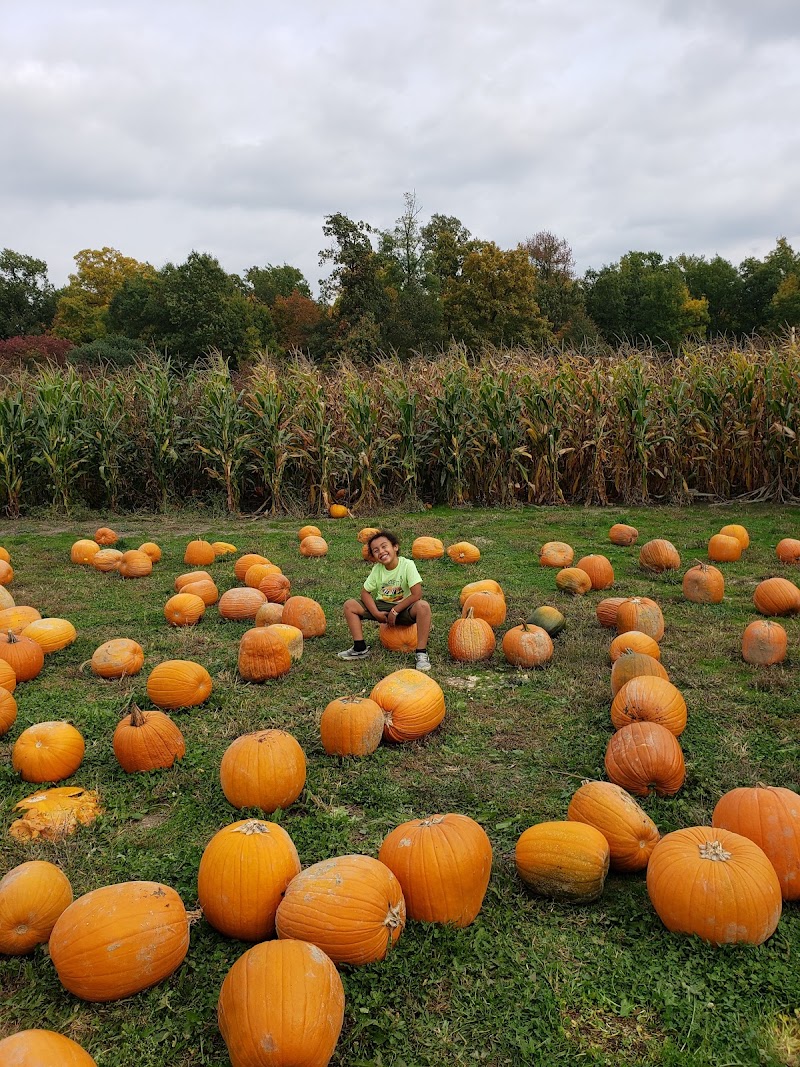 Brasee's Corn Maze Cleveland interior