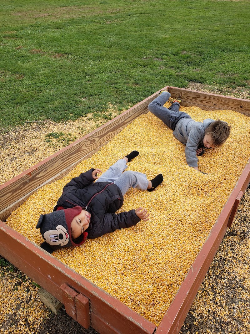 Brasee's Corn Maze Cleveland atmosphere