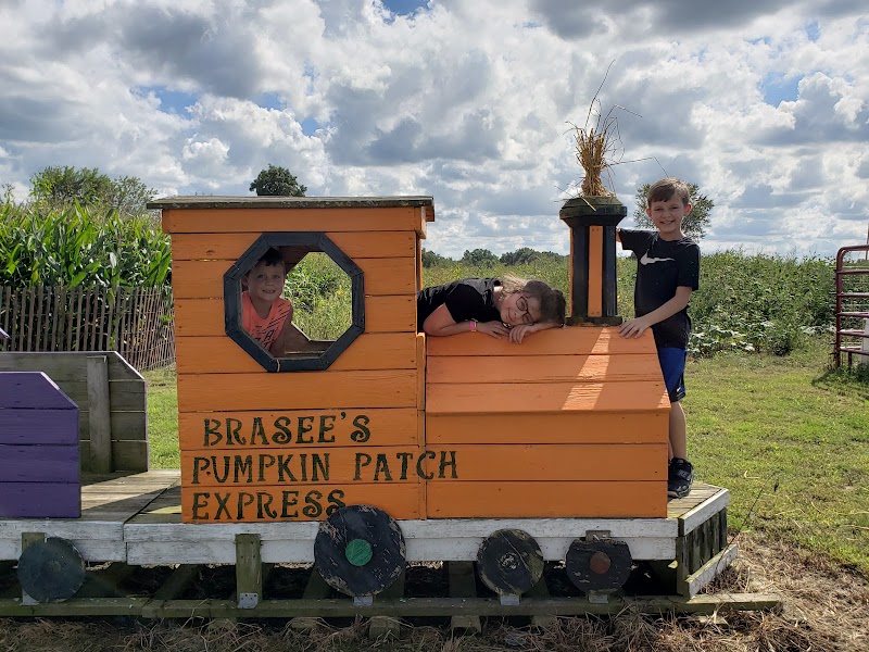 Brasee's Corn Maze Cleveland atmosphere
